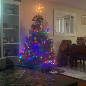 Meet your Posher, Curtis